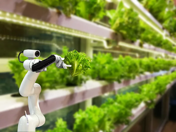 Robotics in Food Safety - WhatNext