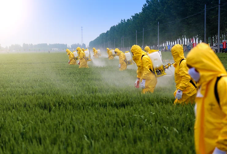 Bio Pestiside - WhatNext