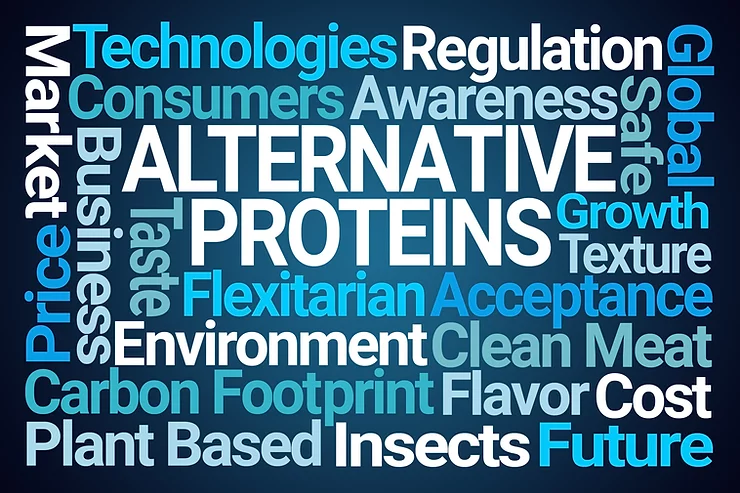 The Rise of Alternative Proteins - WhatNnext
