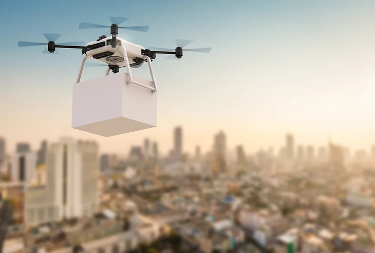 Food Delivery Drones