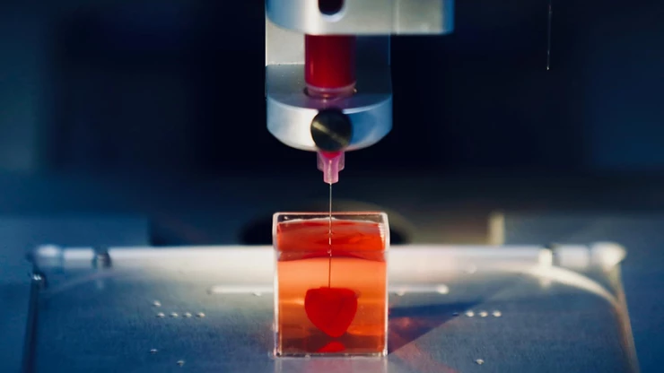 Bionics 3D Printing - WhatNext