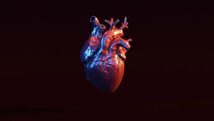3D Printed Organs – WhatNext
