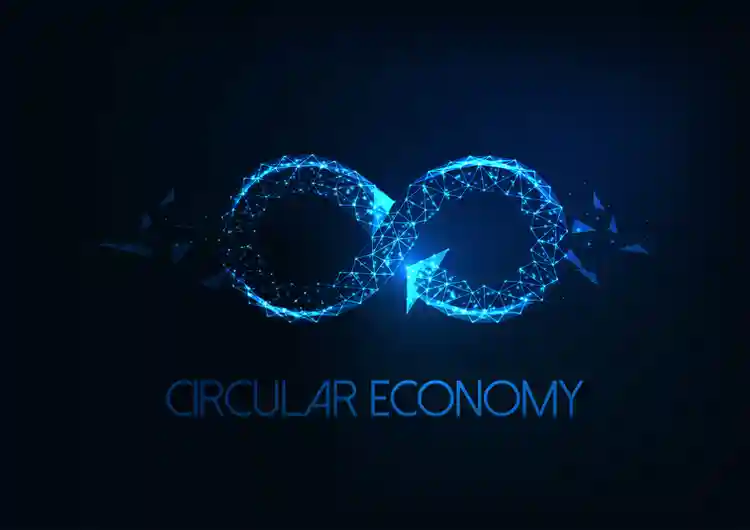 Biomass and Circular Economy - WhatNext