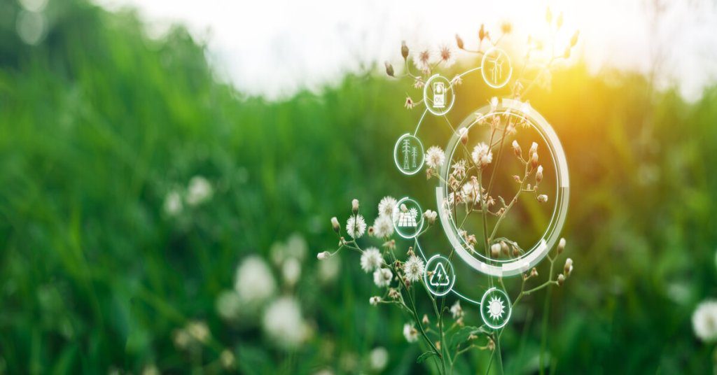 Sustainable circular bioeconomy - Whatnext