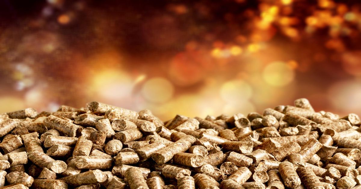 Torrefied Biomass - WhatNext